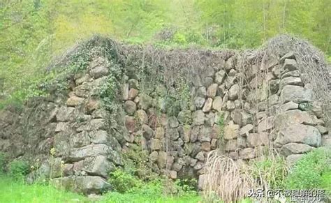 墳墓有裂痕|墳墓 (坟墓)上長樹木、墓碑塌陷、墳墓有裂縫、墓碑照片 (相片)有。